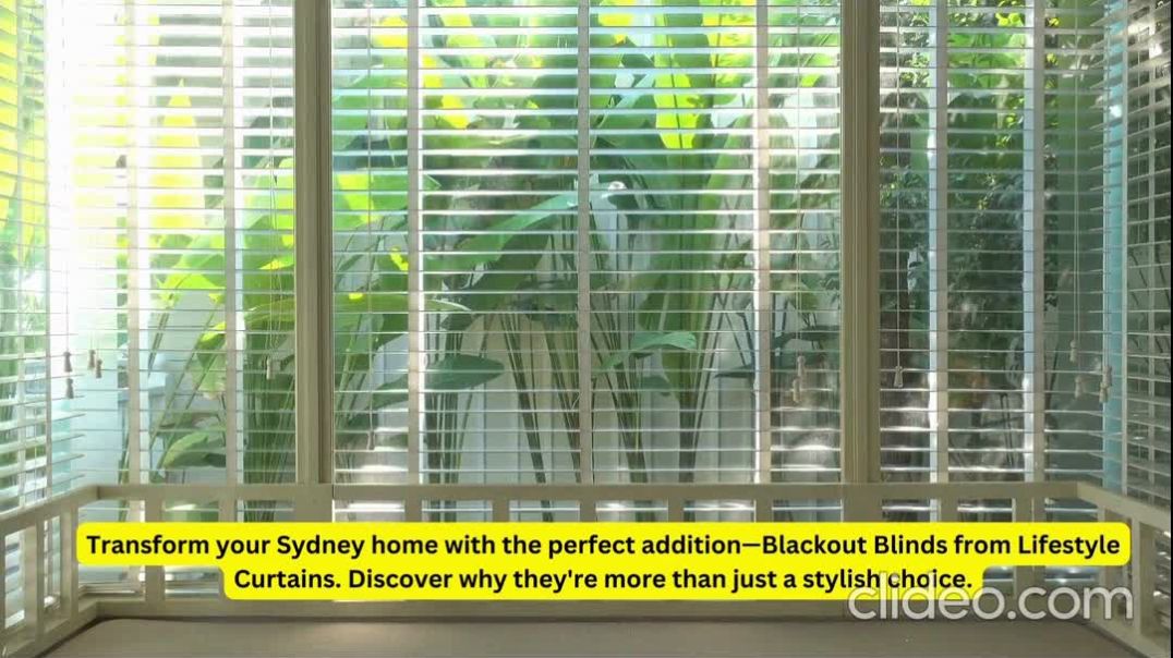 Blackout Blinds Sydney