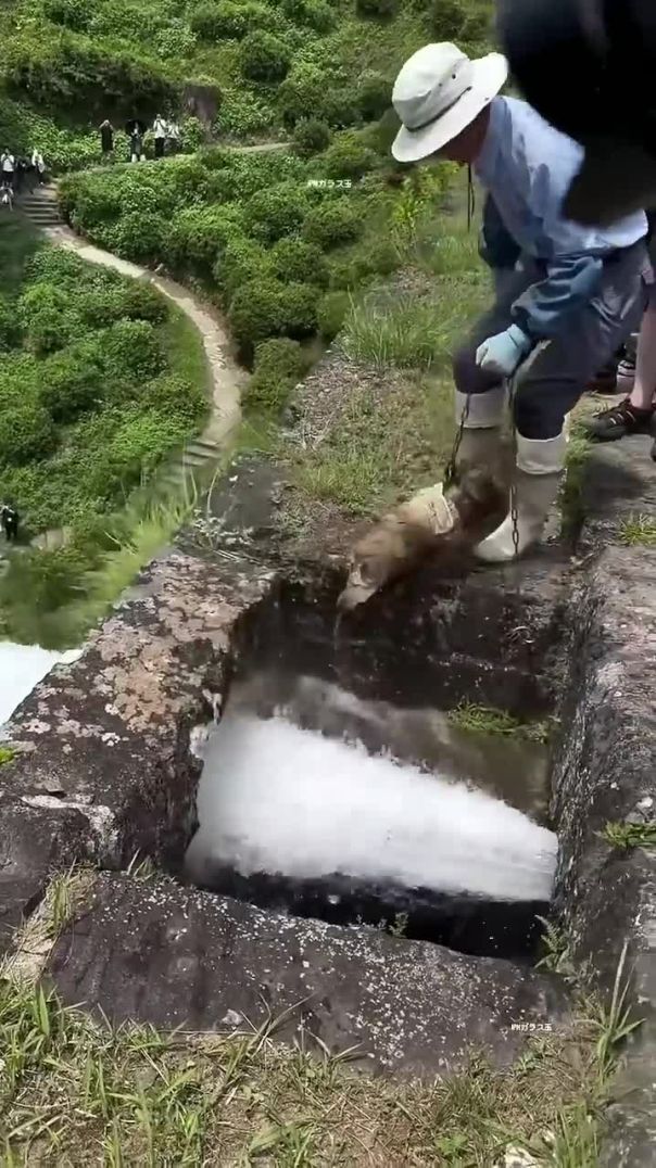 This man in Japan has a very dangerous job! 🤯