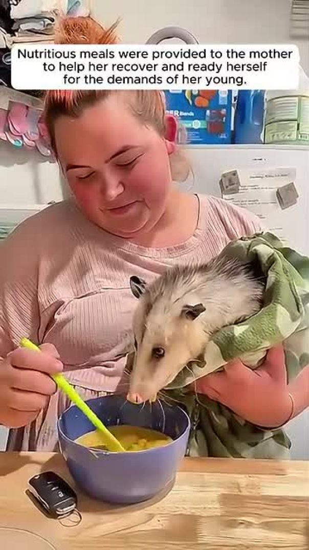 Young Man Rescues Opossum and Uncovers an Unexpected Secret! #shorts