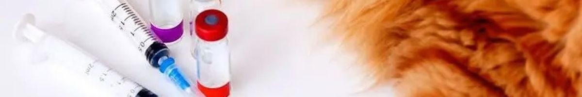 Silverado Veterinary Hospital