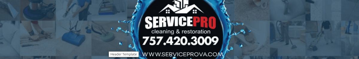 Service Pro LLC