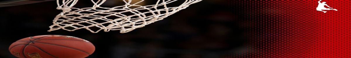 Next Level Basketball