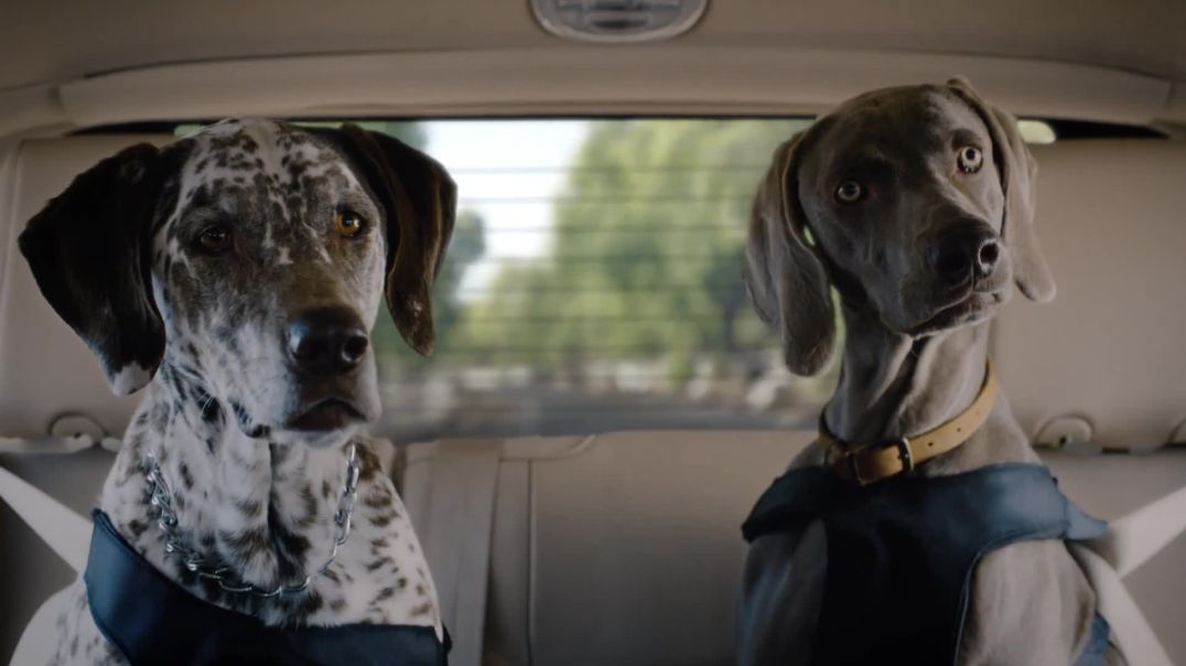 Matthew McConaughey ad featuring Lincoln Navigator