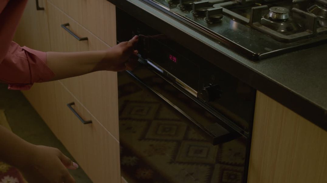 Importance of a Built-In Oven