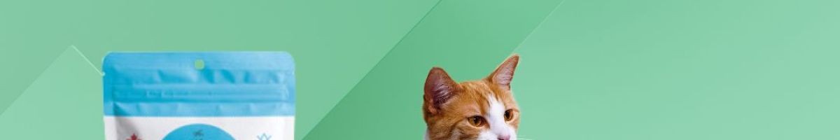 The Granville Island Pet Treatery