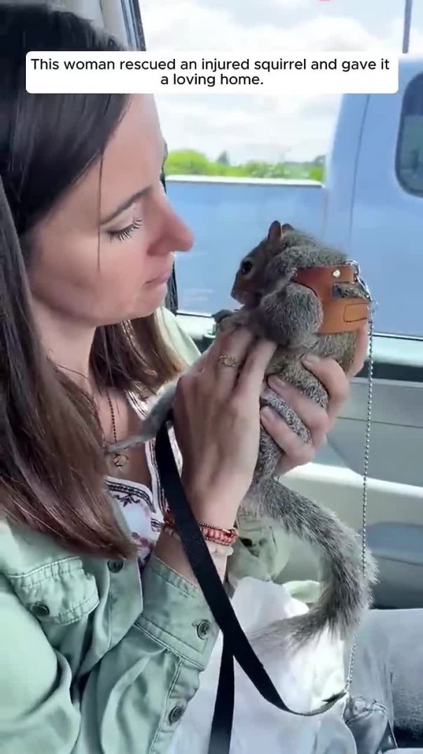 This woman rescued an injured squirrel and gave it a loving home #animalshorts #shortvideo