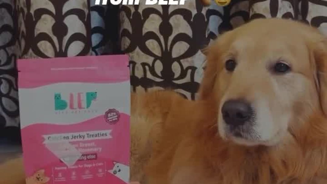 ⁣Treats for Dogs in India from BlepWorld