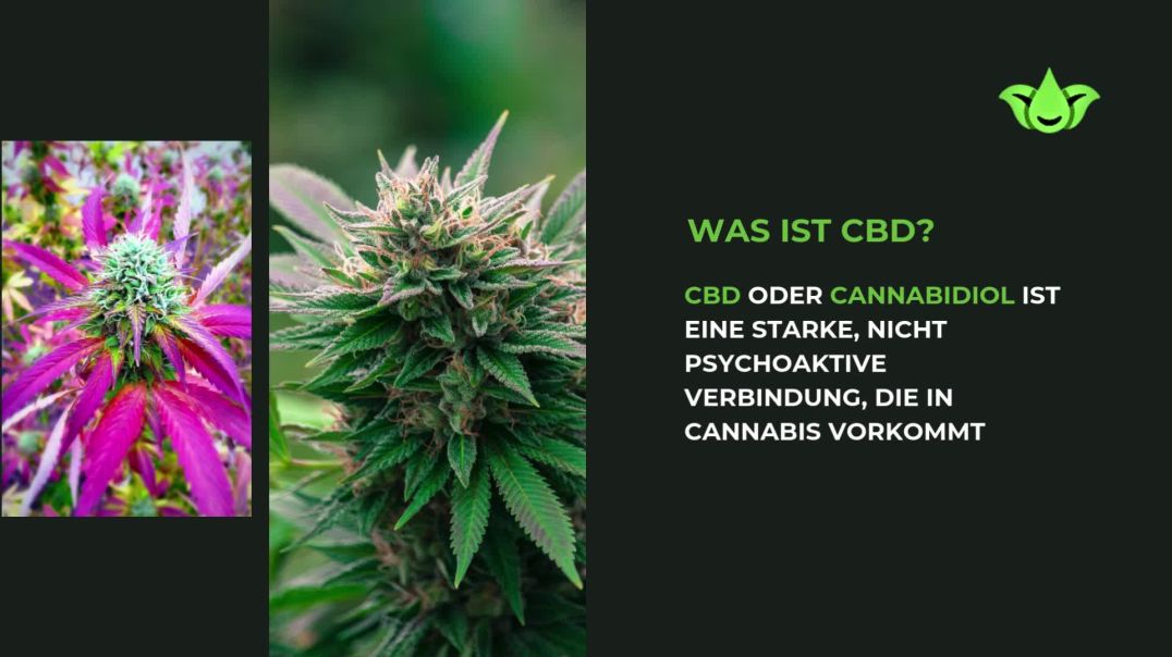 ⁣Nutzen Sie die Kraft von Cannabis für Ihr Wohlbefinden