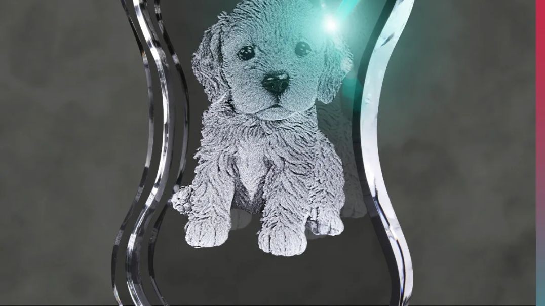 3D Crystal Dog Bone Vertical – A Special Gift for Pet Lovers