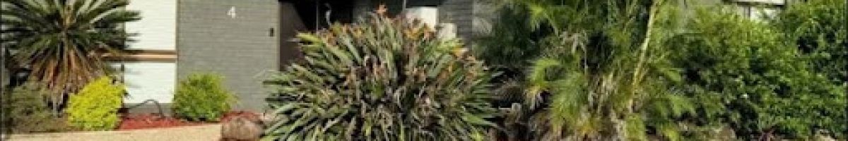 Aus Priority Painting 