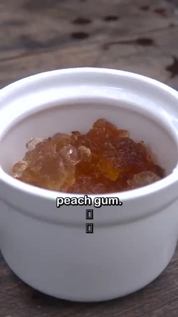 This is peach gum, a gelatinous substance that peach trees release when they get damaged or infected