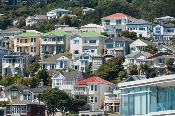 New Zealand’s Housing Market: Will Prices Crash in 2025?