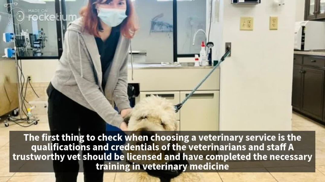 Essential Tips for Choosing a Trusted and Experienced Veterinary Service