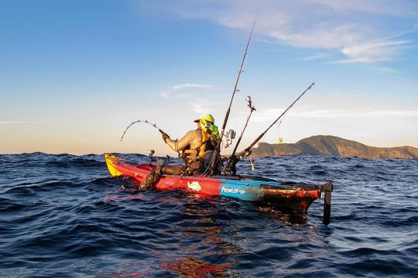 Uncovering the Power of Experiencing New Zealand Like a Local