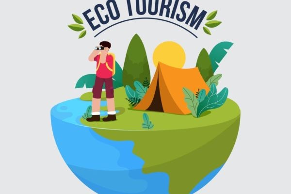 Incredible Facts About Sustainable tourism practices in New Zealand You Didn't Know