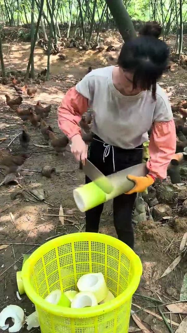 cutting bamboo shoots #satisfying