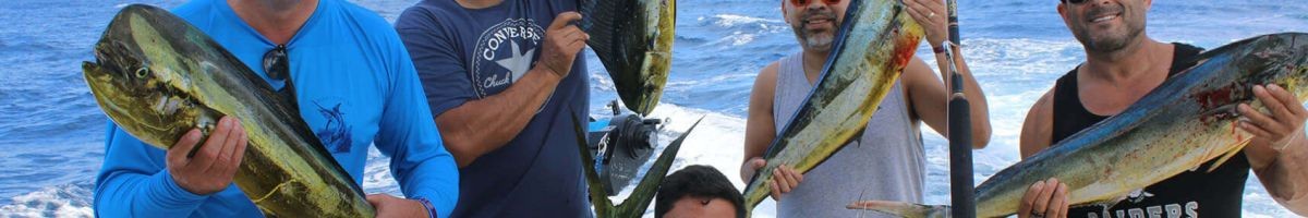 blue sky cabo fishing and tours