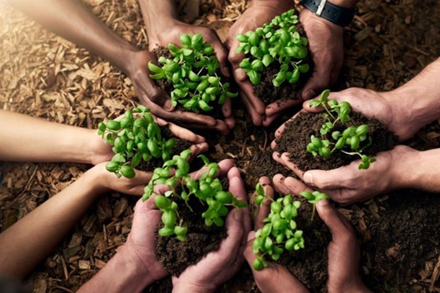How New Zealand Became a Global Leader in Food Security – Tips, Tactics & Truths for New Zealanders