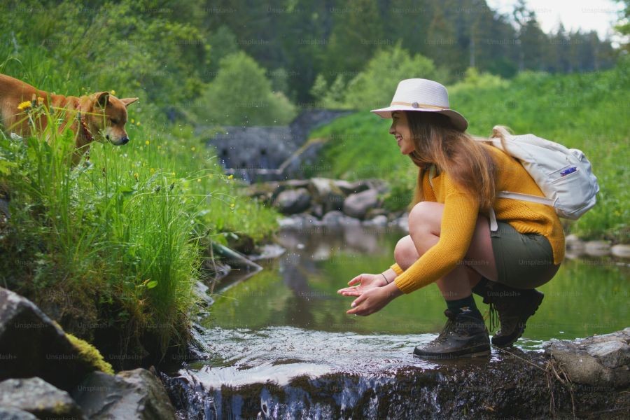 Top 5 Adventure Activities You Must Try in New Zealand – Tips, Tactics & Truths for New Zealanders