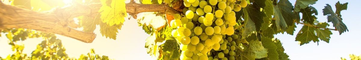 Red Dot Wine
