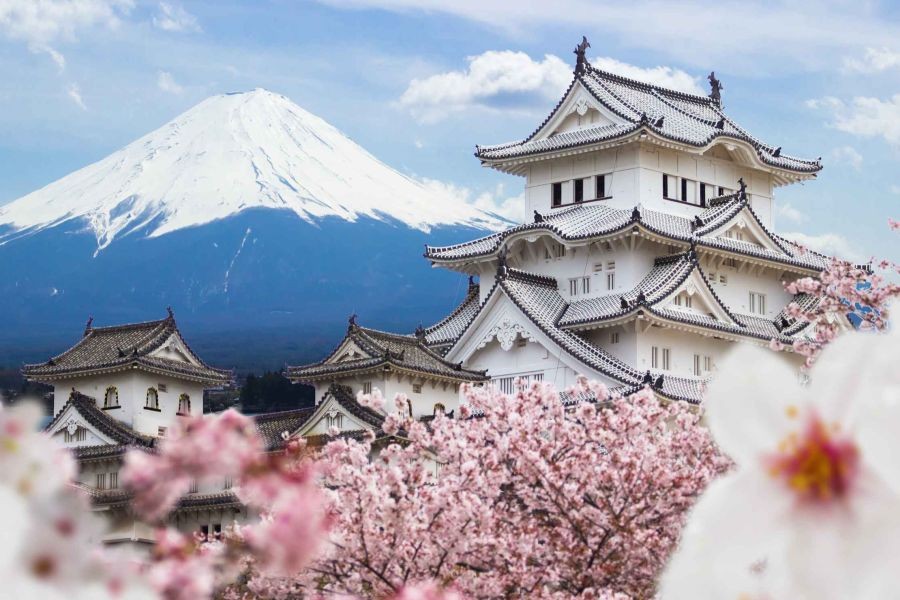 How to Visit Japan from New Zealand: A Complete Guide – The Winning Formula for Success in NZ