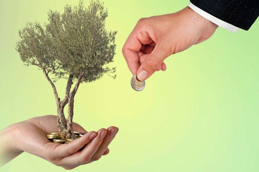 Why Some of the Wealthiest Kiwis Are Investing in Agriculture – The Smart Investor’s Playbook