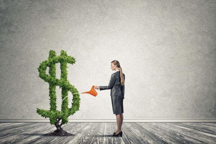 The Most Common Mistakes When Trying to Invest in New Zealand’s Economy