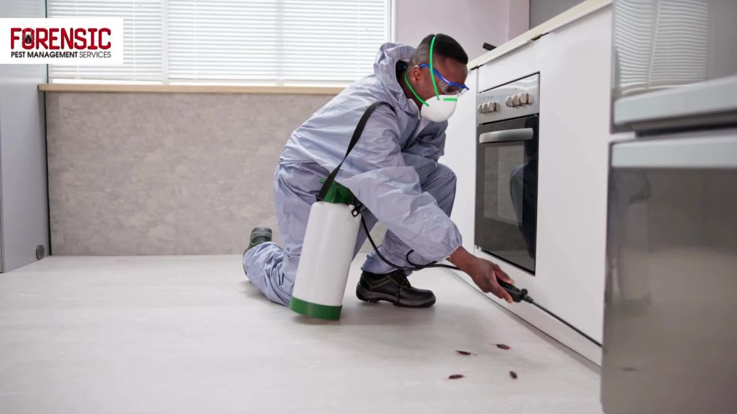Pest Control Quakers Hill