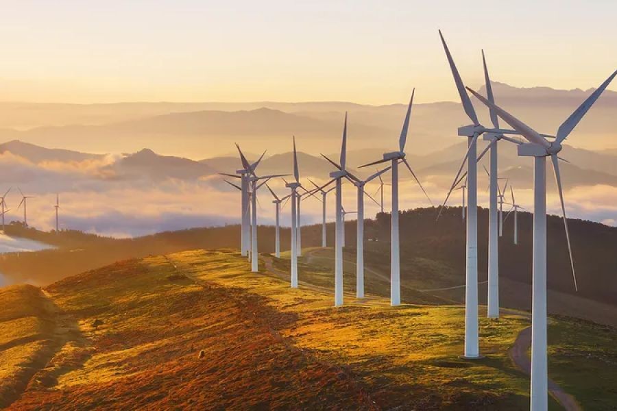 Solar vs. Wind Power: Which One Will Dominate Australia’s Energy Future? – (And How Aussie Startups Are Capitalising)