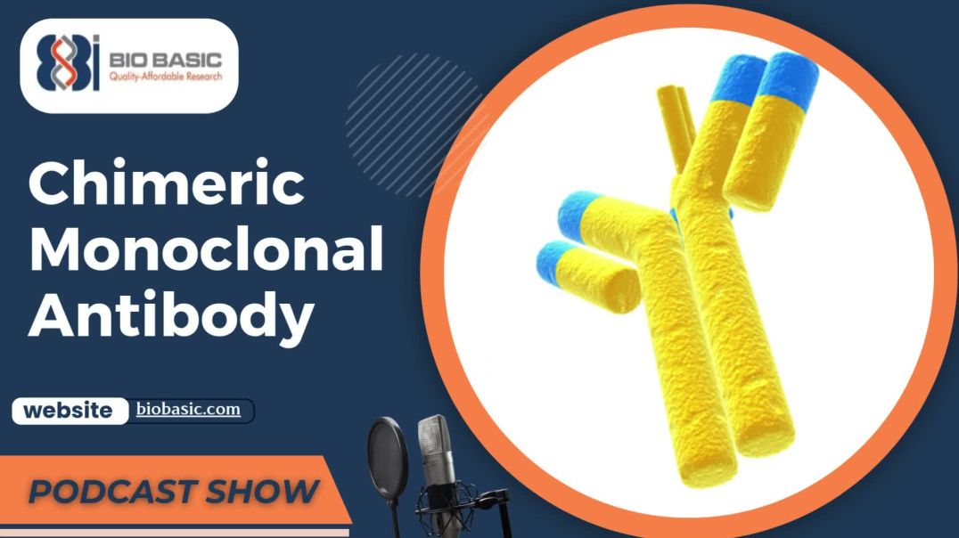 Custom Monoclonal Antibody Production| Chimeric Monoclonal Antibody Service