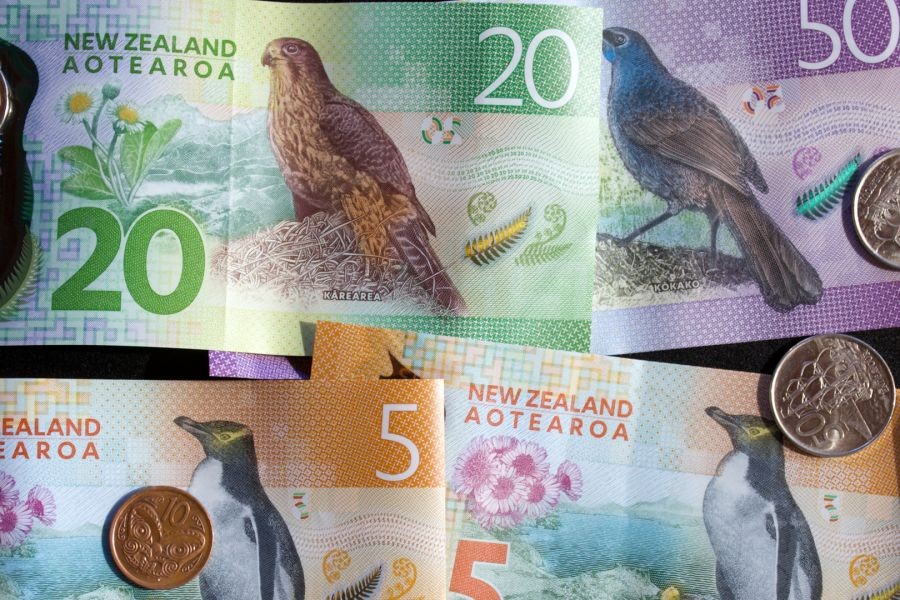 Are New Zealand’s Economic Policies Too Dependent on Tourism? – (And How to Take Advantage of It)