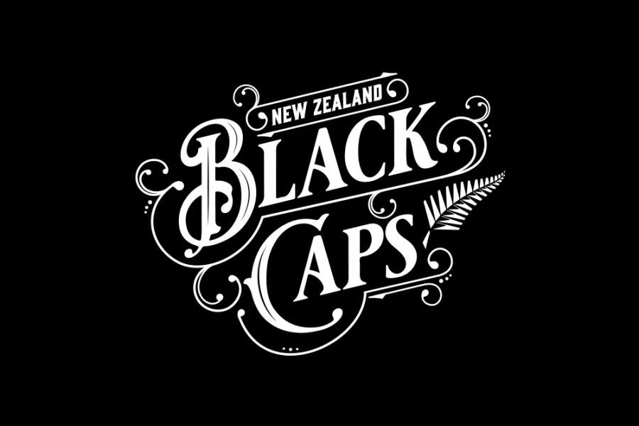 Black Caps v Pakistan result: Finn Allen, Tim Seifert blast New Zealand to 2-0 Twenty20 series lead in rainy Dunedin – The Ultimate 2025 Strategy for ..