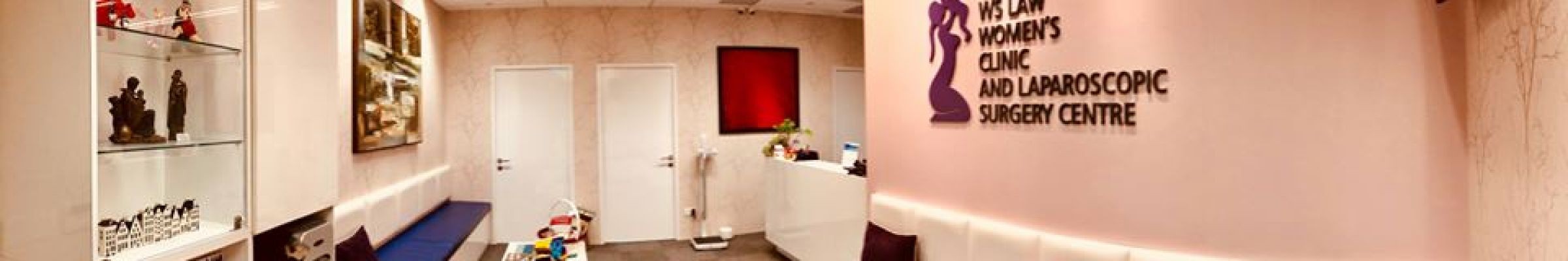 WS Law Women’s Clinic and 