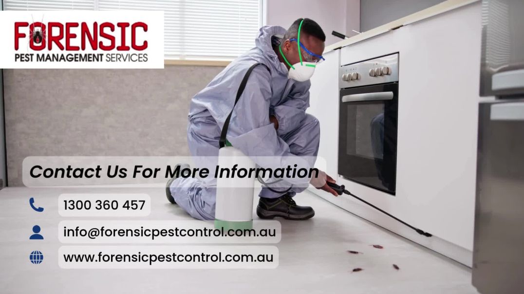 Pest Control Castle Hill