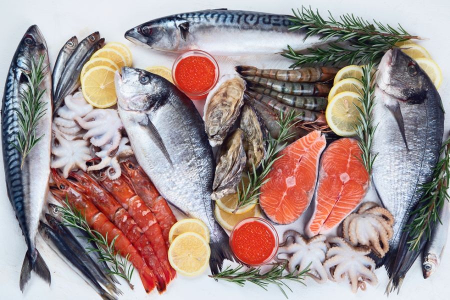 Why New Zealand’s Seafood Industry Still Faces Major Environmental Challenges – The Risks, Rewards, and Realities in NZ