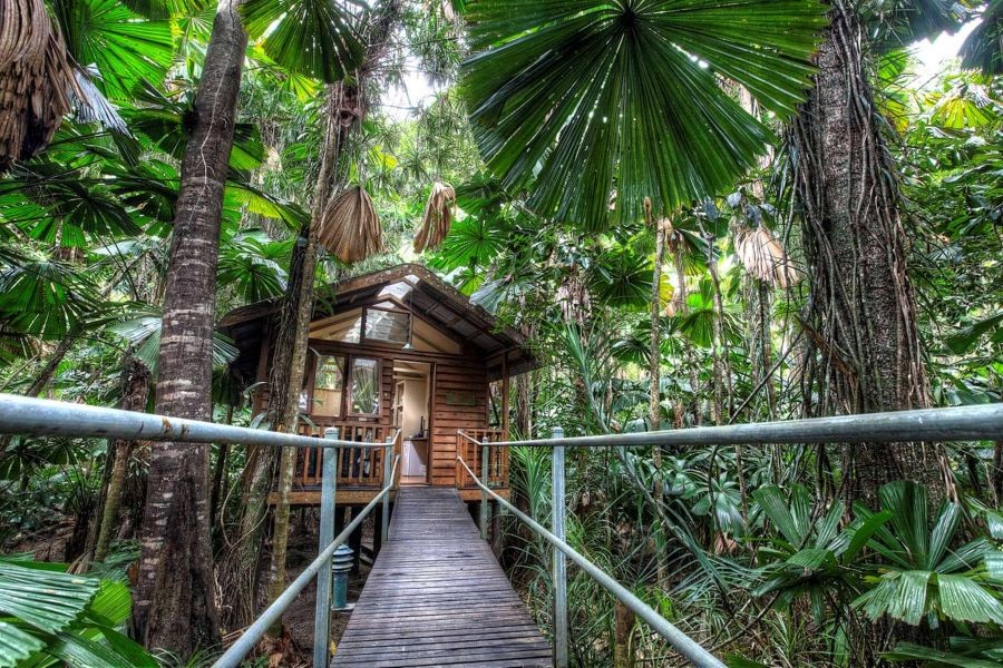 How the ‘Great Walks’ of New Zealand Became a National Icon for Eco-Tourism – How It’s Powering NZ’s Next Wave of Growth