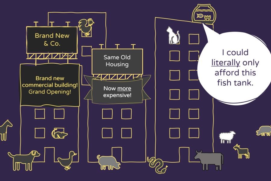 What Will the New Zealand Housing Market Look Like in 5 Years?