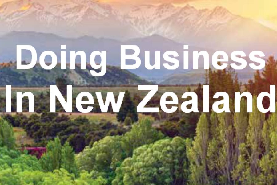 Why Many New Zealand Businesses Are Failing to Adapt to Global Economic Shifts