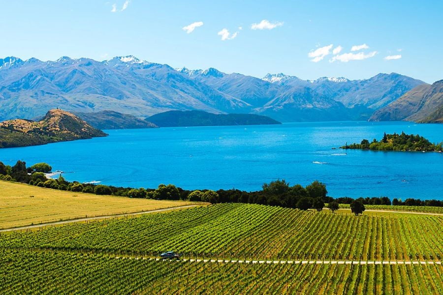 Is New Zealand's Agricultural Industry Sacrificing Environmental Health for Growth? – The Risks, Rewards, and Realities in NZ