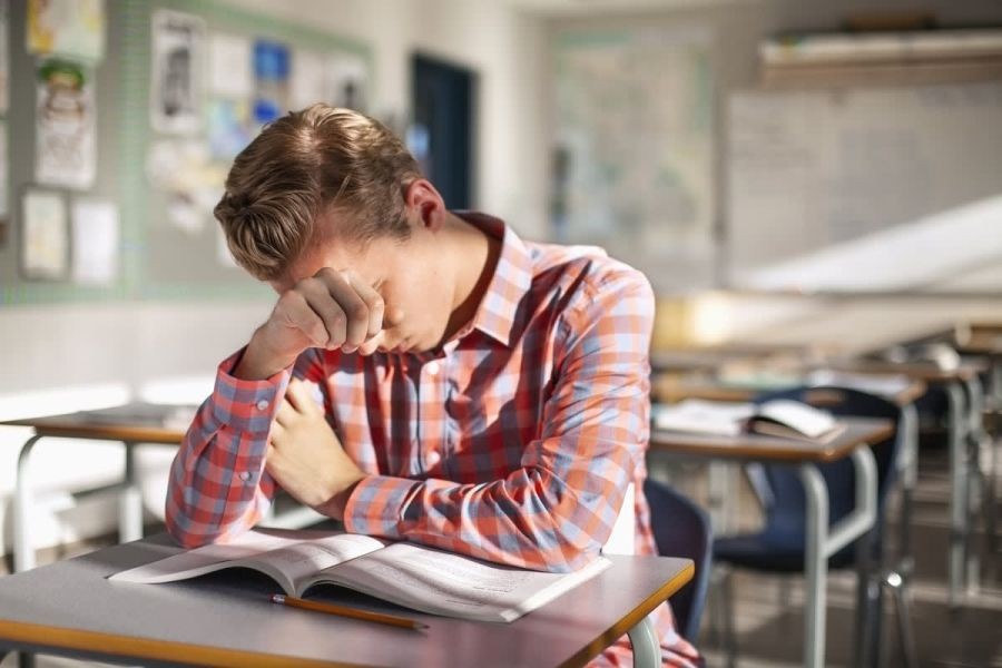 How Social Media is Contributing to New Zealand’s Growing Mental Health Crisis