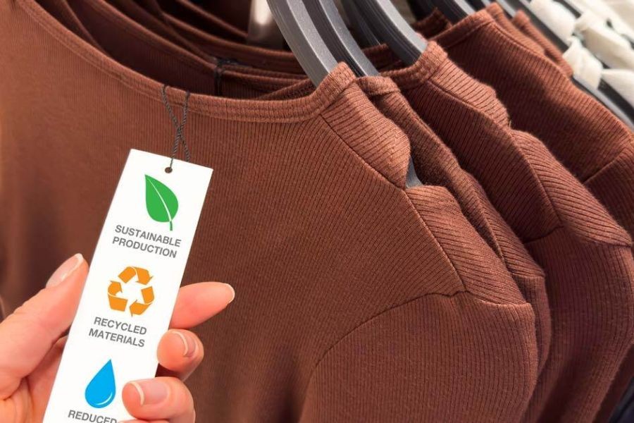 Can New Zealand’s Social Media Influencers Be Trusted to Promote Ethical Brands?