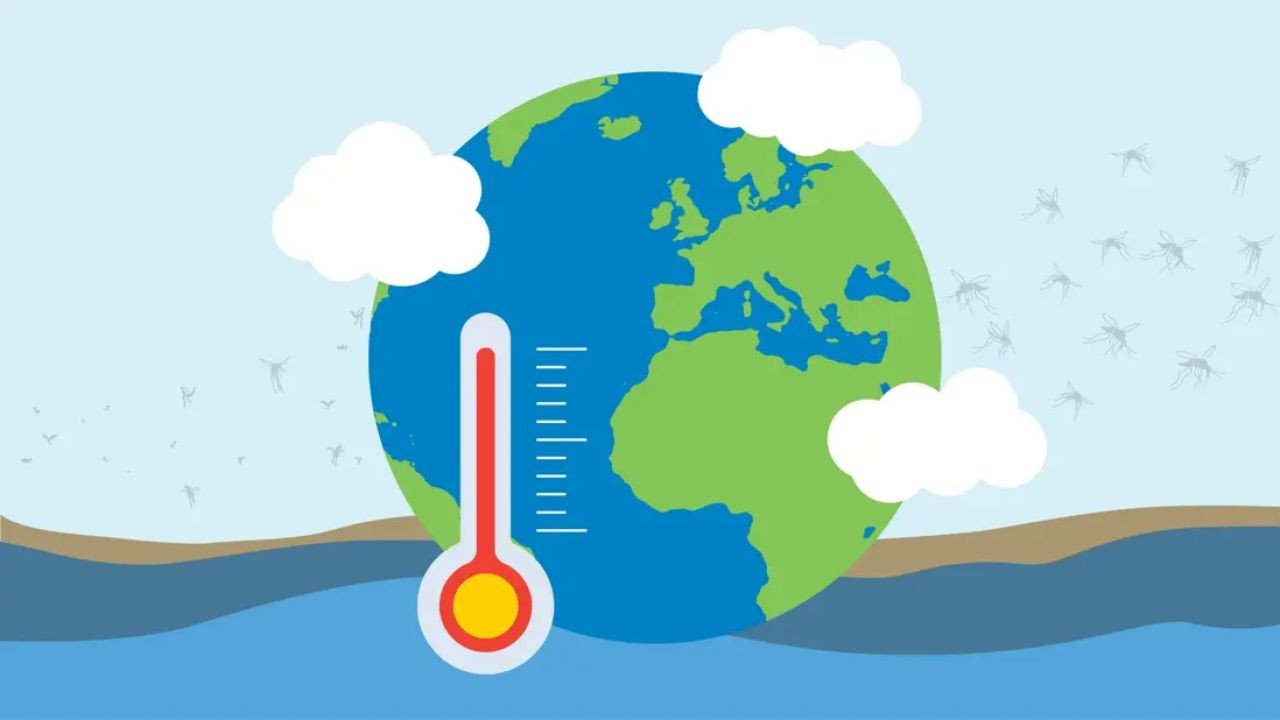 What If New Zealand Gave Iwi Full Control Over Local Climate Policy?