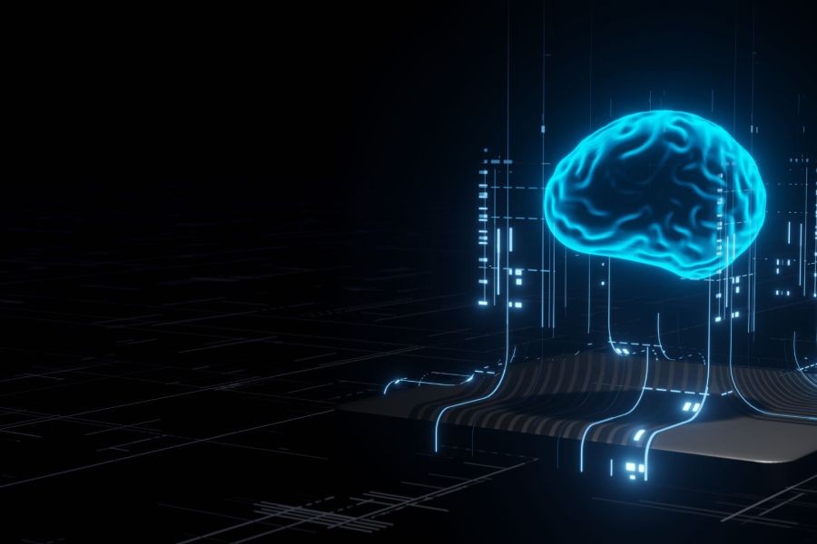 How to Prevent Bias in Machine Learning Algorithms – The Golden Rules for Kiwis to Succeed