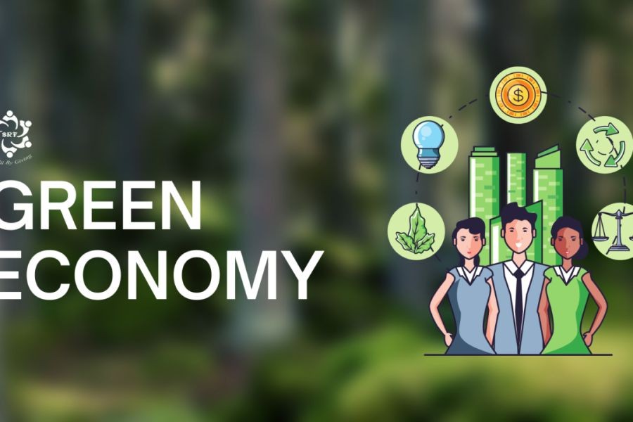 How to Start a Business in the Green Economy – The Smart Investor’s Guide in New Zealand