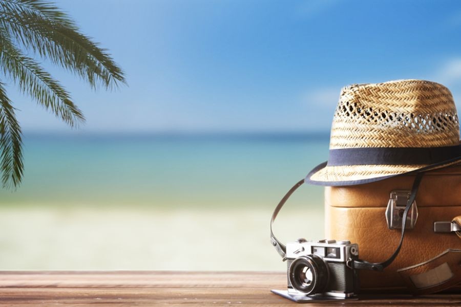 Case Study: The Role of Tourism in New Zealand’s Economic Resilience