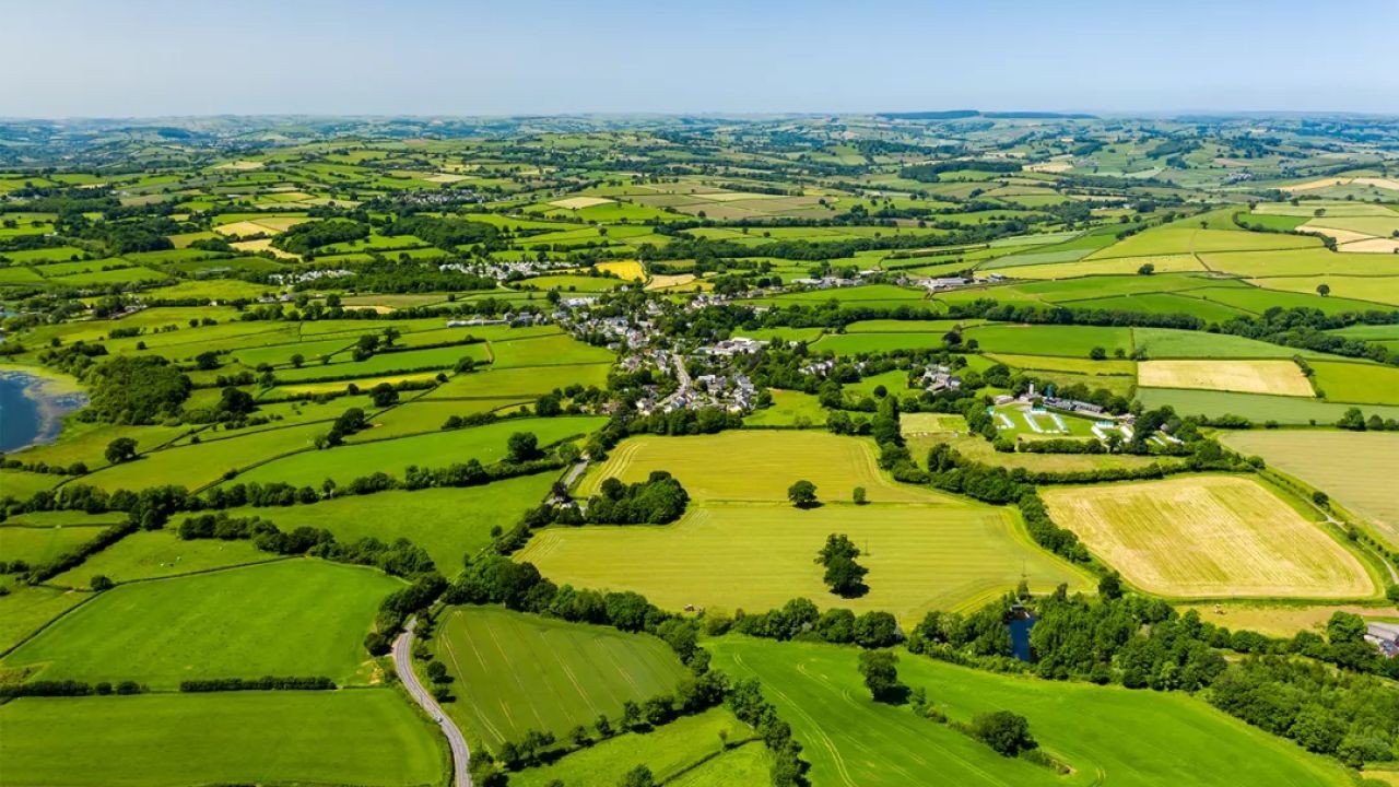 Will Rural Living Become More Popular in New Zealand as Cities Grow?