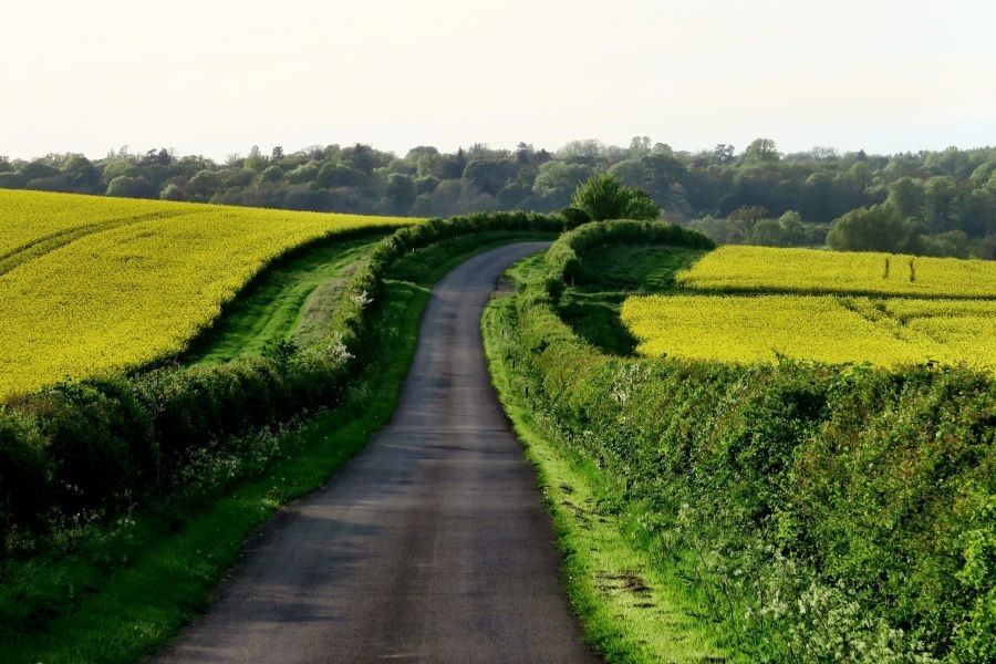 Driving in New Zealand vs. The US: What’s the Real Difference?