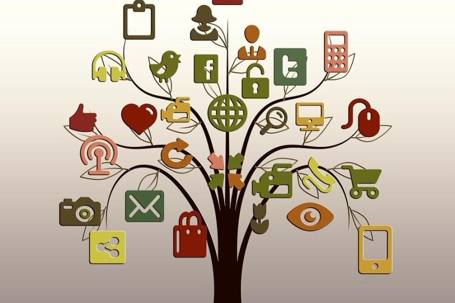 Top 10 Social Media Platforms Popular in New Zealand