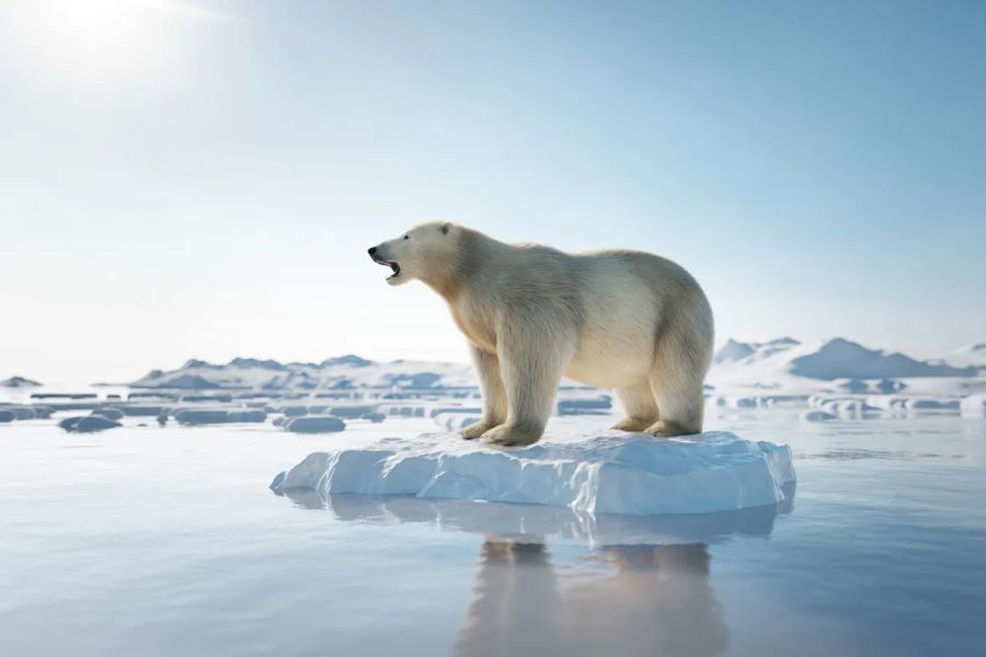 Will Climate Change Force Australians to Abandon Certain Regions? – A New Era for the Australian Market?