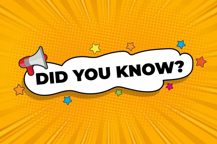 10 Surprising Facts About Startups in Australia That You Didn’t Know